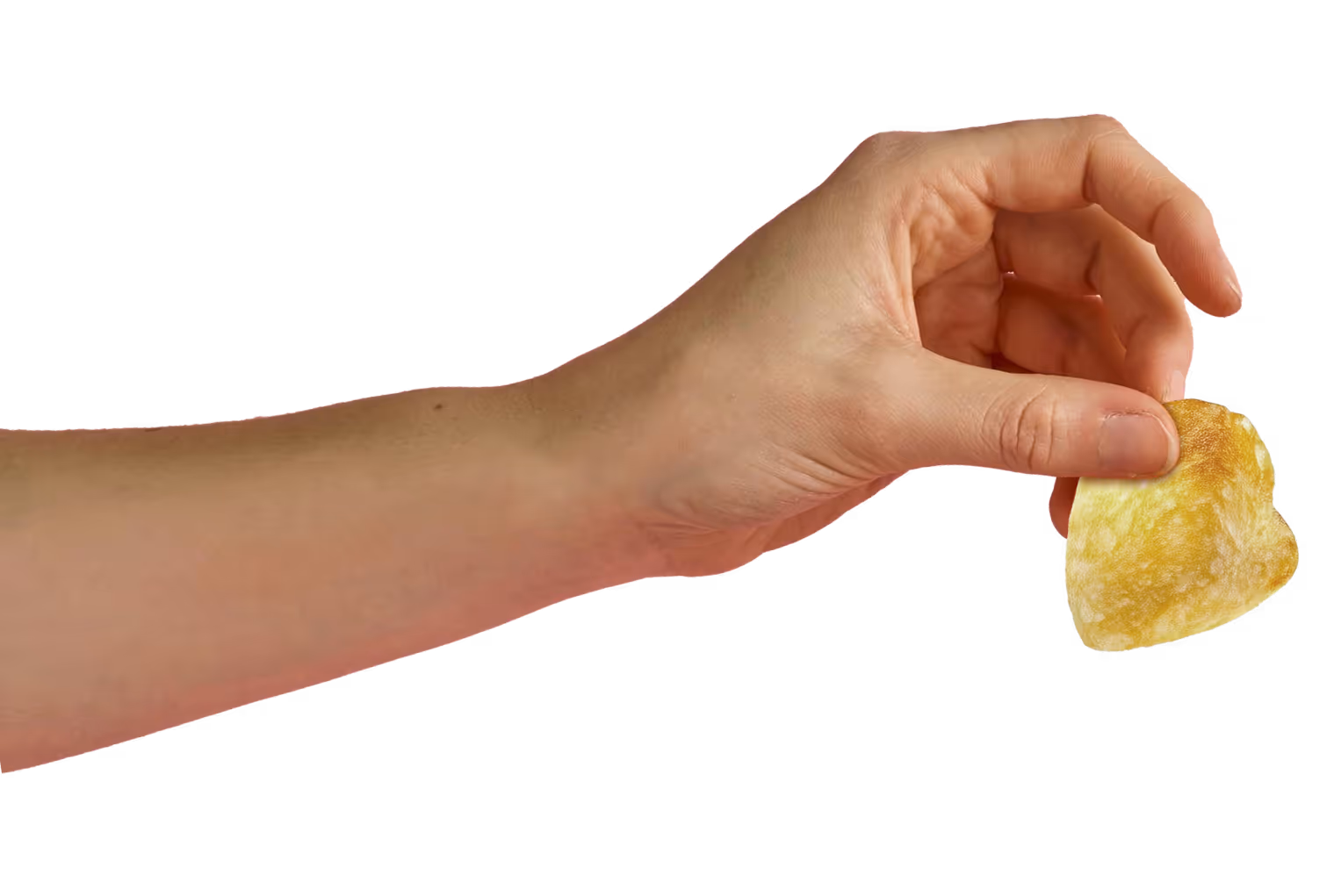 Hand holding a single POTATO SHOP sneaker close-up.